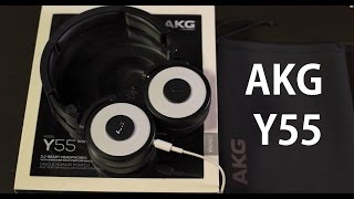 Video thumbnail for BEST HEADPHONE DIBAWAH 2JUTA?? AKG Y55 (BAHASA INDONESIA) by Ray Raditya