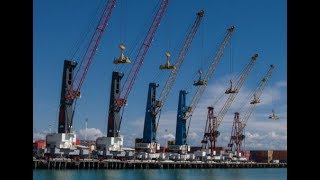 Modern Cranes/Learn Everything TV