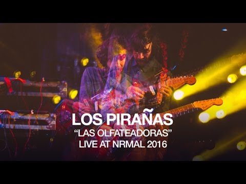 Los Pirañas perform 