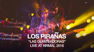 Los Pirañas perform 