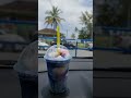 official trinidad's snow cone