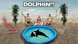 BUILDING A BEACH POND!! ... (with dolphins)