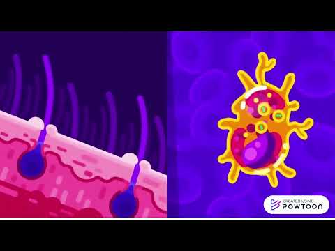 Tiny Bombs in your Blood