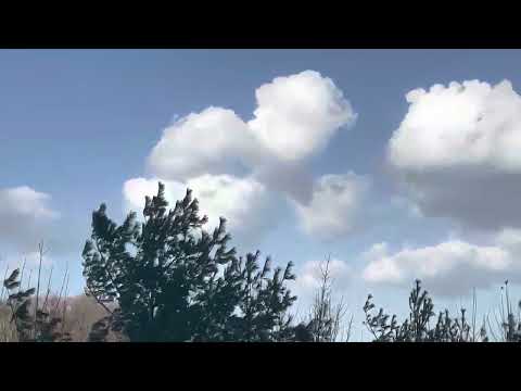 20230312 pm:4:57 구름