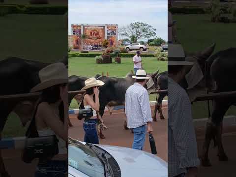 cavalgando em turverlandia Goiás
