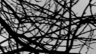 Melodramus - Two - Rehearsal 12/02/08