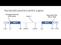 Introduction To Variants And Nomenclature