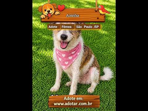 Vídeo de Aninha