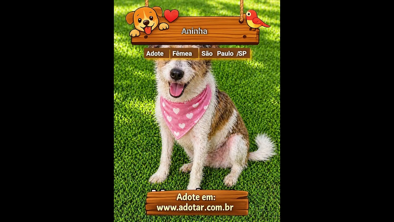Cachorro raça SRD-ViraLata idade 2 anos nome Aninha