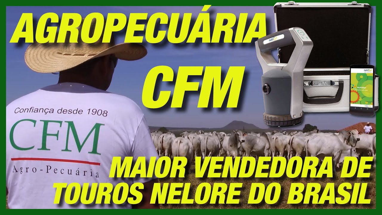 AGROPECUÁRIA CFM: A MAIOR VENDEDORA DE TOUROS NELORE DO BRASIL