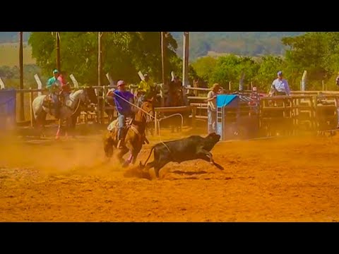 TEAM ROPING ARTHUR LUIZ - LAÇO EM DUPLA PÉ - FULL HOUSE JAY TG