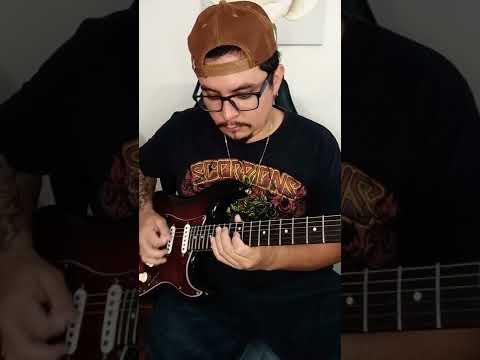Zap Zum - Companhia do Calypso