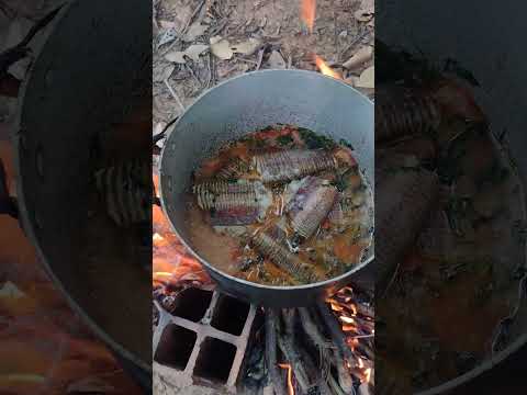 Rango nas margens do rio mearim povoado boqueirão município Matões do Norte MA