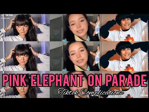 "Pink Elephant on Parade REMIX" Tiktok Compilations