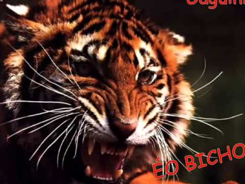 Montagem - Vai começar a sacanagem x novinha do penhão ♫ [ DJ PEDRINH ]