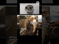 A pending🫠🤣#memes #funkymemes #funnyanimal #funny #viralshorts