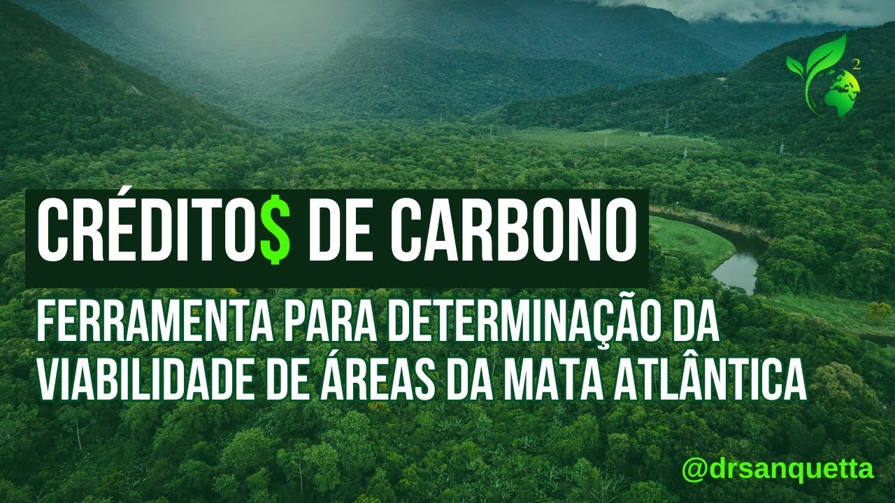 Como viabilizar PROJETOS de #creditodecarbono na #mataatlântica