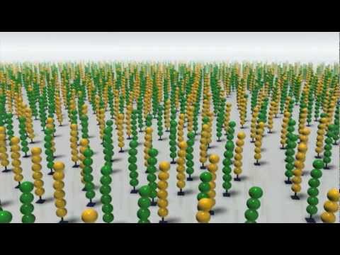 The Vision Behind the Illumina MiSeq