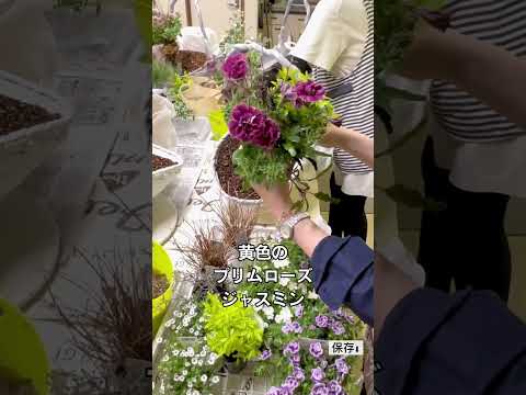 plantes-balcon-géraniums-roses-auvent-jaune plantes balcon