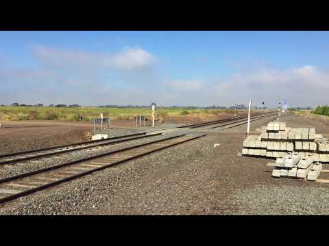 GM10 and B61 the (Bernie baker) at the Gheringhap Loop Extreme horn show