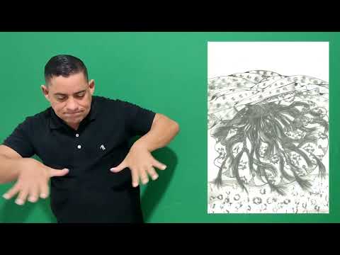 Miniatura do vídeo: Obaluayê