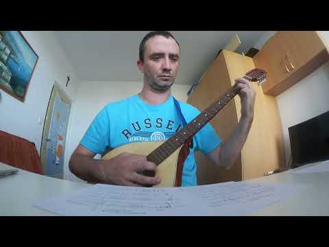 The Czech Lute for GDAD Bouzouki