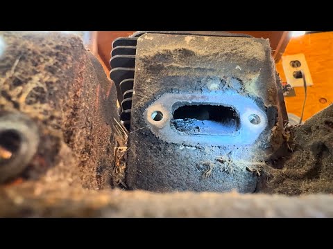 Is motul 800 2t a good chainsaw oil. Not really!