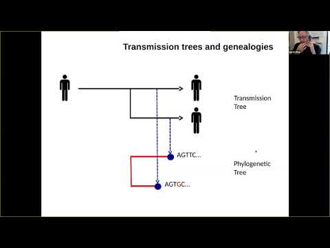Phylodynamics and genealogy valued Markov processes