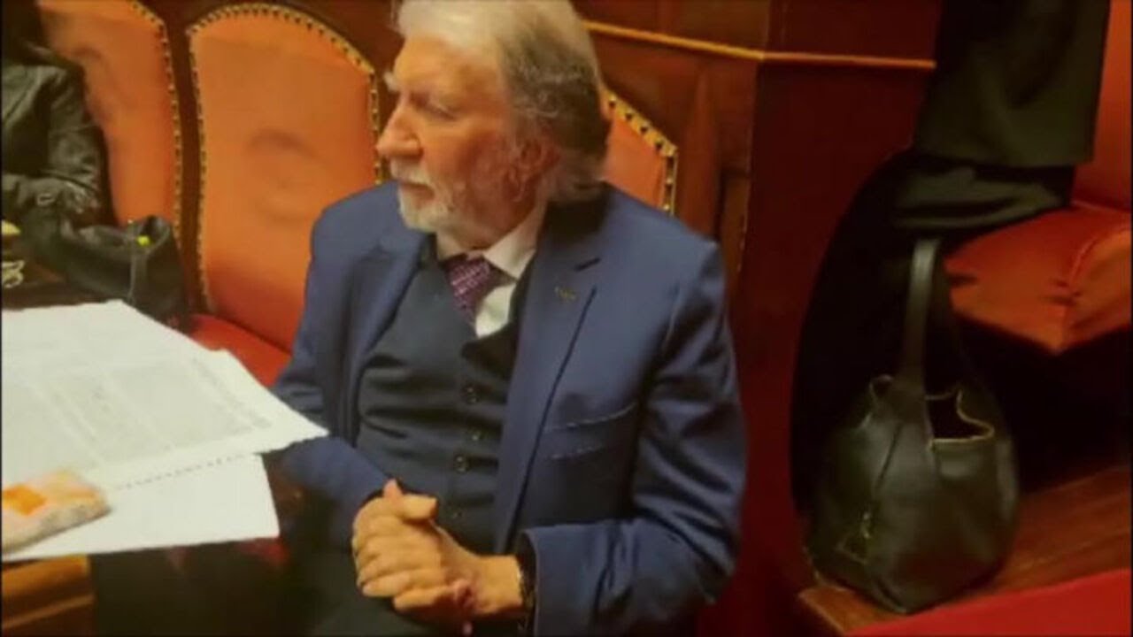 Cappellini "Maga" con scritto "No alla guerra", la protesta anti-Trump in Senato dei 5 Stelle