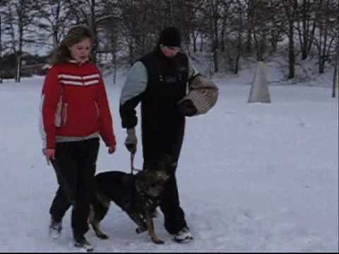 Aischa z Jukasu - protection - January