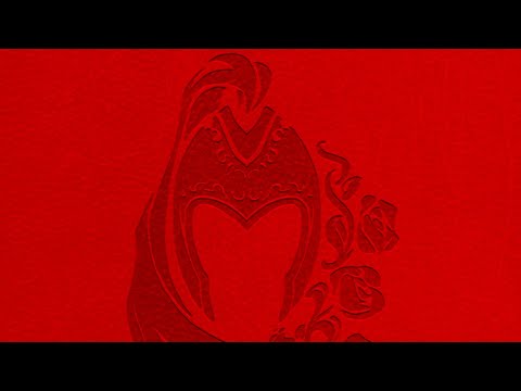 DSA Durchgeblättert Folge 283 - Rahjakavaliere-Vademecum