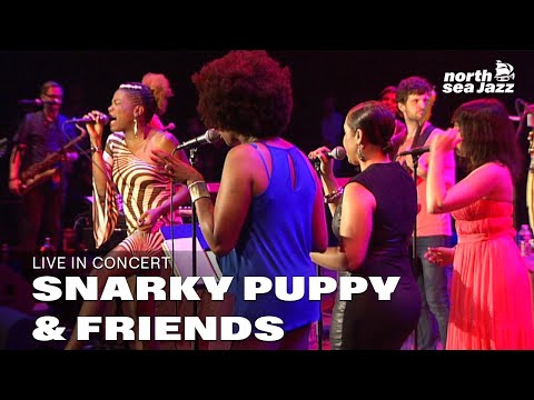 Snarky Puppy & Friends with Lalah Hathaway - Full Concert [HD] | Live at North Sea Jazz 2014