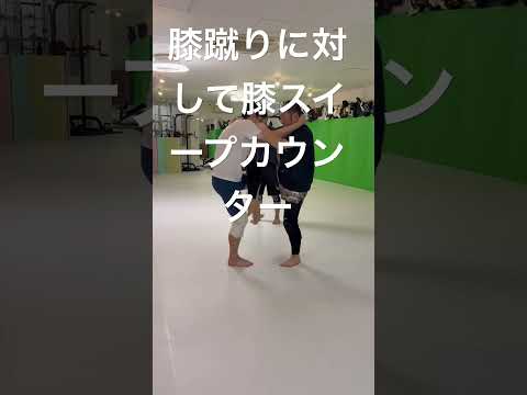 膝蹴りに対して膝スイープカウンター