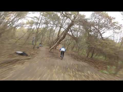 wlecial w drzewo !!! #nsbike #mtb #drone #freeride trojmiasto