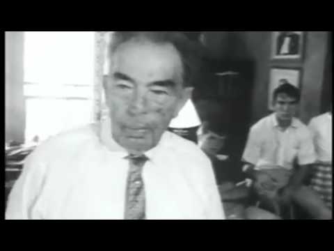 Usul Selcuk  - Moonshine