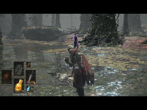 Dark Souls III - Invasion Etiquette