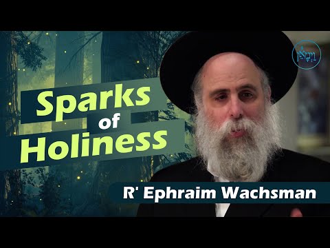 Sparks of Holiness | Rabbi Ephraim Wachsman