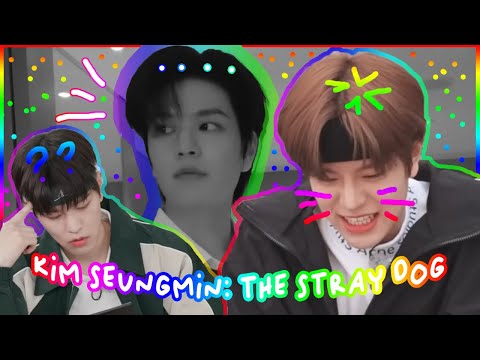 Kim Seungmin Being The Untrained Puppy He Is [Stray Kids' only puppy]
