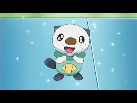 È arrivato il momento di scegliere! Snivy, Tepig o Oshawott? | Nero e Bianco