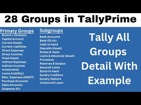 Tally Prime All 28 Groups Detail With Example || Tally All 28 Group Detail with Theory In hindi
