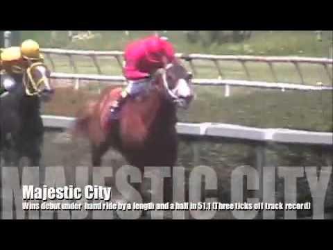 Dashing Debut for Majestic City at Hollywood Park