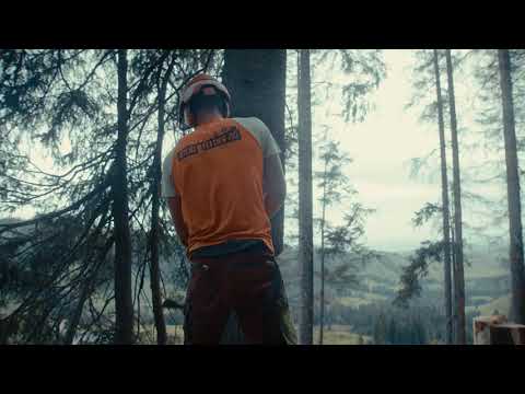 Bieri Felder AG – Wir suchen dich als Forstwart