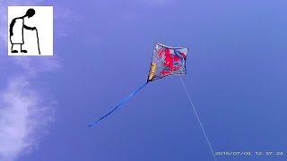 Kite Time - 99P Store Spiderman Diamond Kite Grandchildren in control