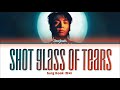 Jungkook (정국) 'Shot Glass of Tears' Lyrics