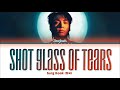 Jungkook 정국 Shot Glass Of Tears Lyrics
