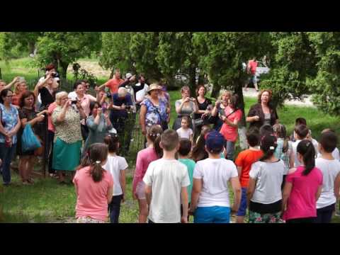 Petrecere in aer liber  copii de la Vasile Conta 1