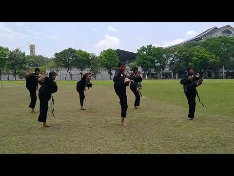 Gerakan Dasar Pencak Silat || Tugas Kelompok || PJKR II A 2021