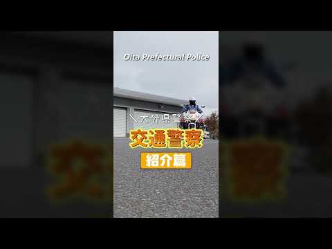 地方交通警察の定義