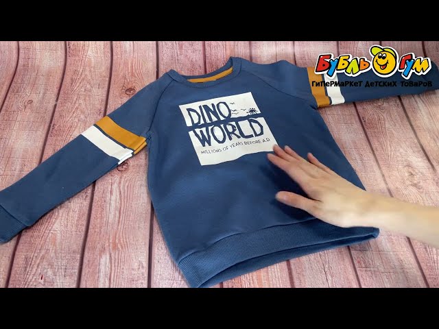 Толстовка Lanson Kids утепленная Dino world синяя - видео