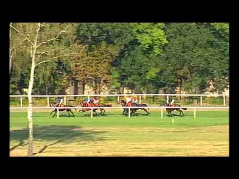 30.08.2015 (D32; G8; tor:3,1 ;28°C)